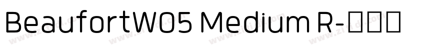 BeaufortW05 Medium R字体转换